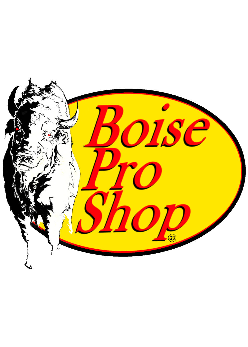 Boise Pro Shop - Ballcap