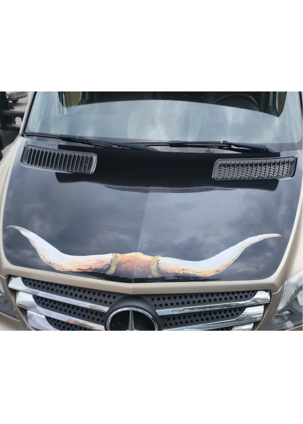 Vehicle Bullhorns