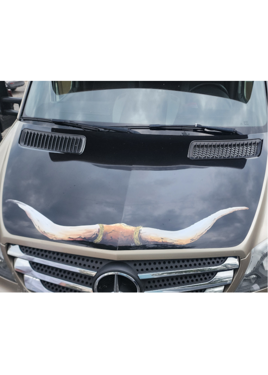 Vehicle Bullhorns